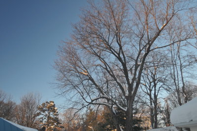 DSC_9794.JPG
