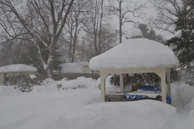 DSC_9795.JPG