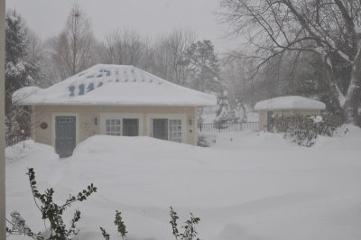 DSC_9802.JPG