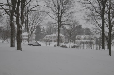 DSC_9823.JPG