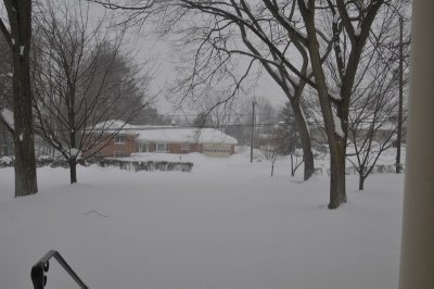 DSC_9824.JPG