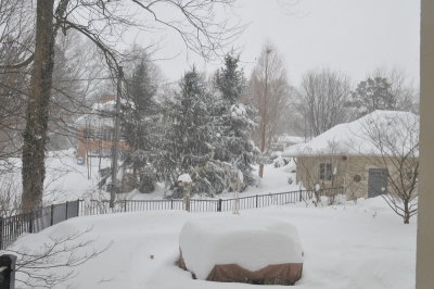 DSC_9826.JPG
