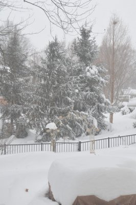 DSC_9827.JPG