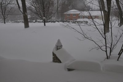 DSC_9828.JPG