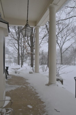 DSC_9830.JPG