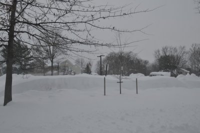 DSC_9833.JPG