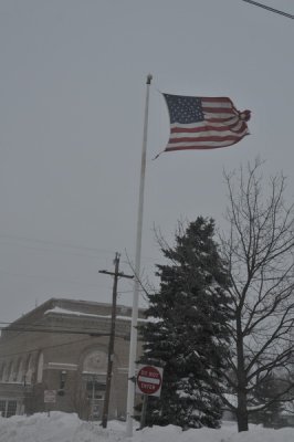 DSC_9838.JPG