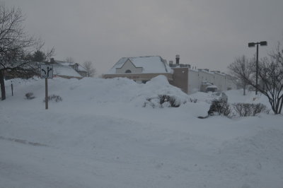 DSC_9847.JPG