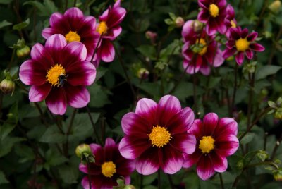 DSC_3514.jpg