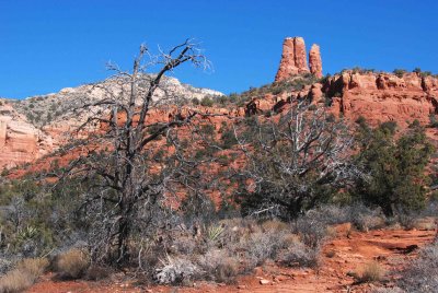 DSC_5513a.jpg