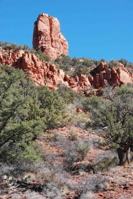DSC_5518a.jpg