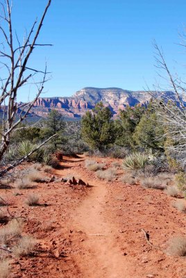DSC_5593a.jpg