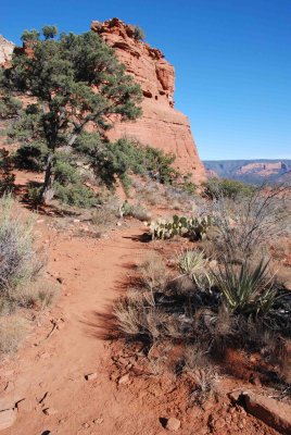 DSC_5599a.jpg