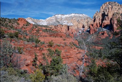 DSC_5859a.jpg