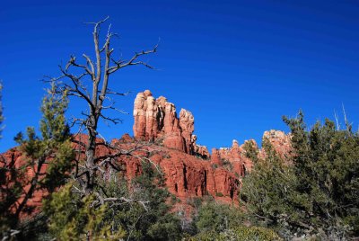 DSC_6258a.jpg