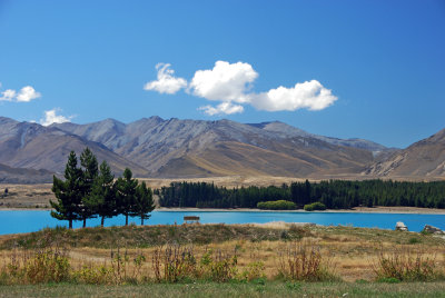 DSC_2754a.jpg