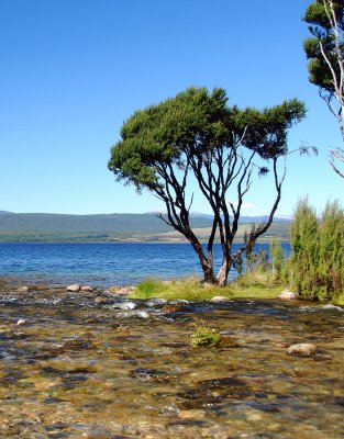 DSC_3745a.jpg