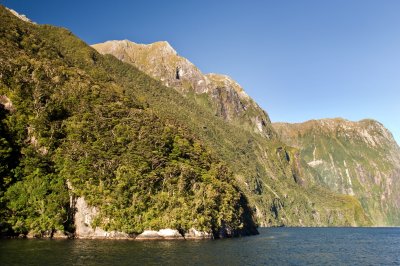 DSC_3509a.jpg