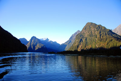 DSC_3663a.jpg
