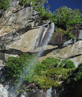 DSC_3460a.jpg