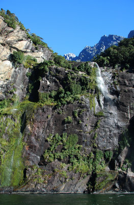 DSC_3454a.jpg