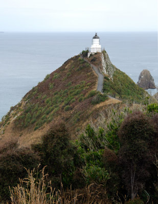 DSC_3110a.jpg