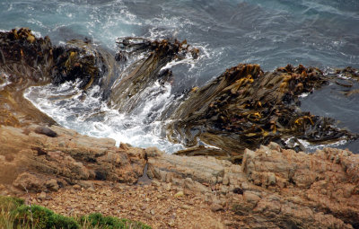 DSC_3100a.jpg