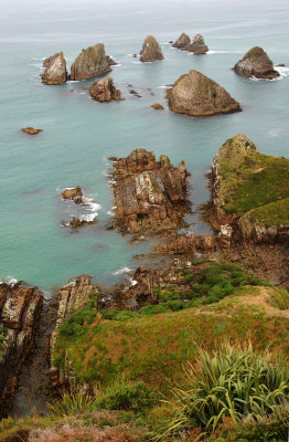 DSC_3052a.jpg
