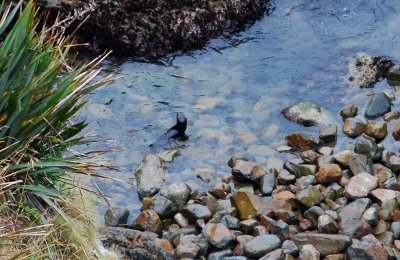DSC_3039b.jpg