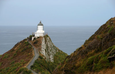 DSC_3031a.jpg