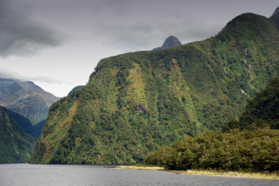 Doubtful Sound