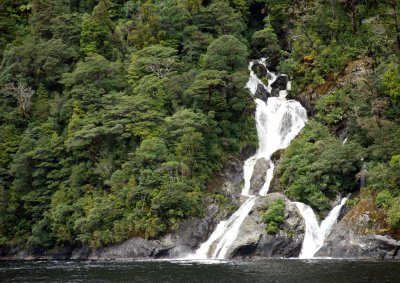 DSC_3226a.jpg