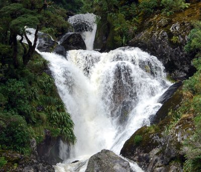 DSC_3219a.jpg
