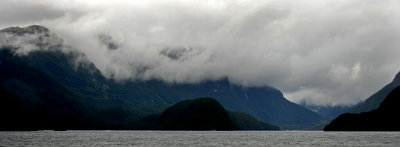 DSC_3146a.jpg