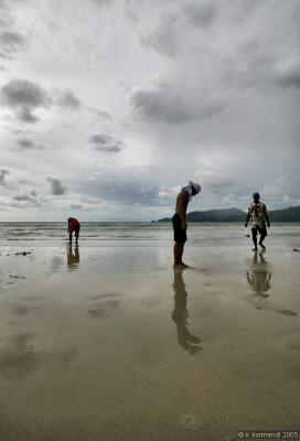 g3/79/533079/3/53515853.beachwalkers4.jpg