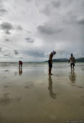 Beach Walkers 4.