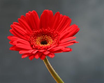 CRW_5573_RT16.jpg