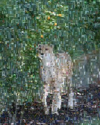 Big Cat Mosaic