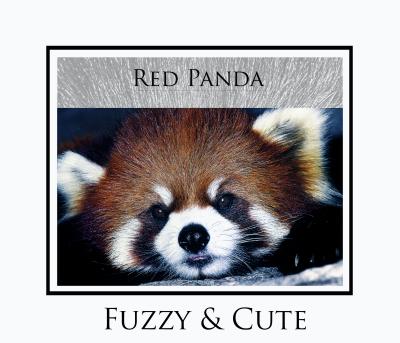 Red Panda.jpg