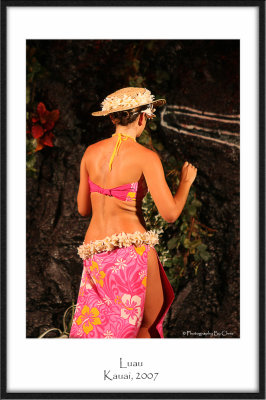 Luau Pink Back