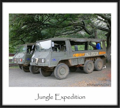 Jungle Expedition