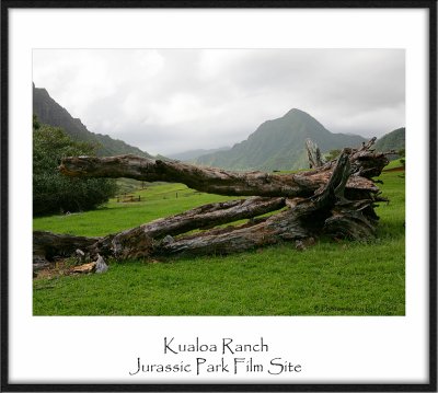 Jurassic Park Film Site