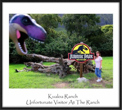 Jurassic Park Visitor