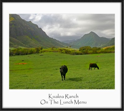 Lunch Menu