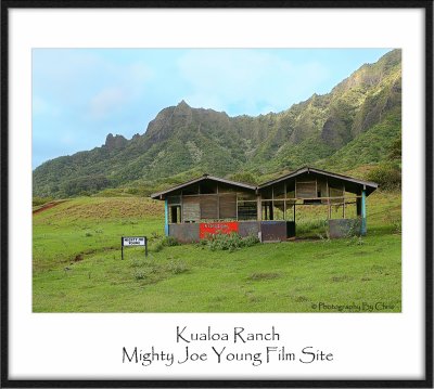 Mighty Joe Young Film Site