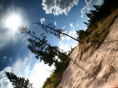 Yellowstone