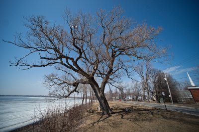 g3/79/558179/3/110709545.NskynTuD.jpg
