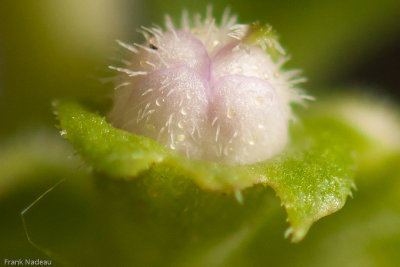 g3/79/558179/3/125247719.9uiSpgum.jpg