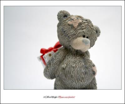 21_12_05 - Bear - ly ready .Version 2.jpg