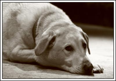 09_01_06 - Louis 2